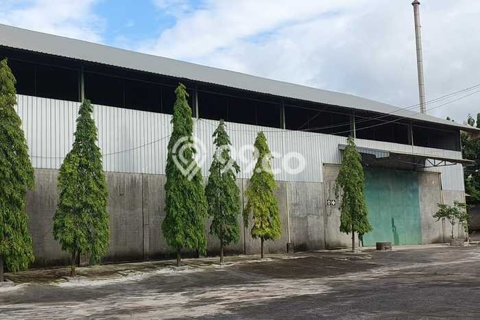 Pabrik Usaha Dijual di Paciran Lamongan LT 4920m2 & LB 2800m2 Pabrik Usaha Dijual di Paciran Lamongan LT 4920m2 & LB 2800m2