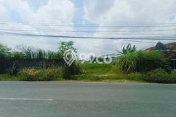 Tanah Kosong Dijual di Gresik dengan Area 9157m2 Tanah Kosong Dijual di Gresik dengan Area 9157m2