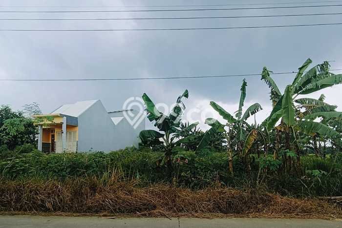 Untuk Dijual Tanah 1890m2 di Dawarblandong, Mojokerto Untuk Dijual Tanah 1890m2 di Dawarblandong, Mojokerto