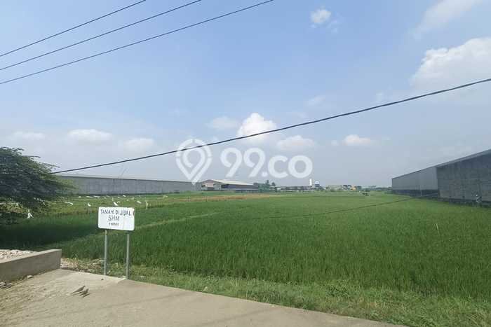 Tanah Dijual Lokasi Wringinanom, Gresik Luas 18000m2 Legalitas Aman Tanah Dijual Lokasi Wringinanom, Gresik Luas 18000m2 Legalitas Aman