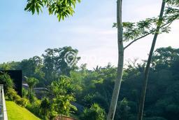 Vila Potensial Kawasan Tabanan, Luas 3000m², Dekat mudah Tabanan, Tabanan, Tabanan Vila Potensial Kawasan Tabanan, Luas 3000m², Dekat mudah Tabanan, Tabanan, Tabanan