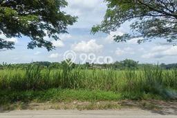 Tanah Dijual Lokasi Kabuh, Jombang dengan Luas Tanah 18000m2 dan Status SHM Tanah Dijual Lokasi Kabuh, Jombang dengan Luas Tanah 18000m2 dan Status SHM