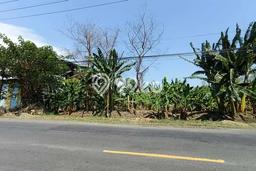 Lahan Investasi Lokasi Menganti Gresik SHM Lahan Investasi Lokasi Menganti Gresik SHM