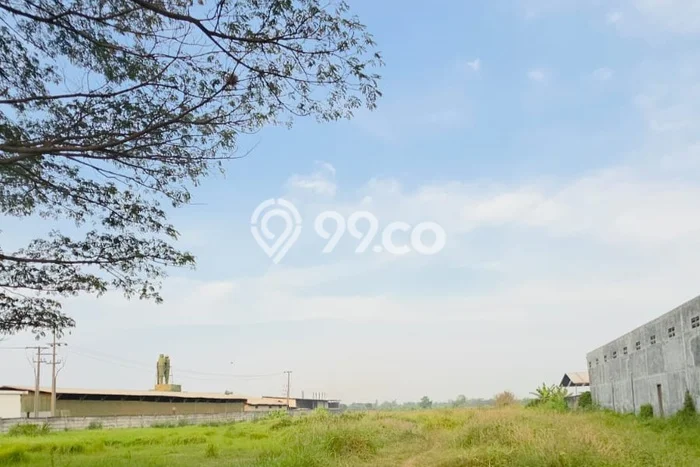 Jarang Ada! Tanah di Kraton Punya Luas 11000m2 SHM Jarang Ada! Tanah di Kraton Punya Luas 11000m2 SHM