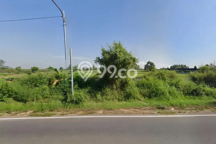 Kavling Tanah Dijual di Mantup, Lamongan, Luas 290000m2 Area Strategis Kavling Tanah Dijual di Mantup, Lamongan, Luas 290000m2 Area Strategis