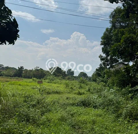 Tanah untuk Dijual Lokasi Gempol, Pasuruan Luas 2370m2 - Tanah untuk Dijual Lokasi Gempol, Pasuruan Luas 2370m2 -