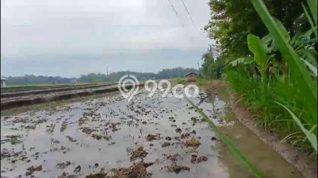 Kavling Tanah di Ngawi Dijual Luas 7030m2 Legalitas - Kavling Tanah di Ngawi Dijual Luas 7030m2 Legalitas -