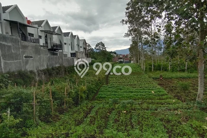 Lahan Investasi Lokasi Batu Batu SHM Lahan Investasi Lokasi Batu Batu SHM