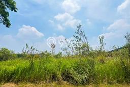 Tanah Kosong Dijual di Cikarang dengan Area 6000m2 Tanah Kosong Dijual di Cikarang dengan Area 6000m2