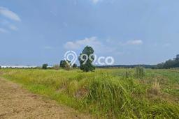 Tanah Dijual Lokasi Karawang Barat, Karawang Luas 15397m2 Legalitas Aman Tanah Dijual Lokasi Karawang Barat, Karawang Luas 15397m2 Legalitas Aman