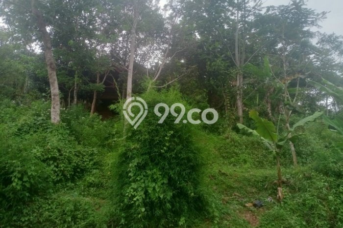 Lahan Kosong Dijual di Kutawaringin, Bandung, Luas 744m2 Area Strategis Lahan Kosong Dijual di Kutawaringin, Bandung, Luas 744m2 Area Strategis