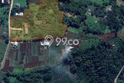Tanah Komersial Dijual di Ciwidey Bandung 12486m2 Tanah Komersial Dijual di Ciwidey Bandung 12486m2