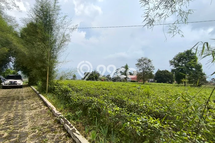 Tanah di Ciwidey, Bandung Luas 28500m2 Dijual Segera Tanah di Ciwidey, Bandung Luas 28500m2 Dijual Segera