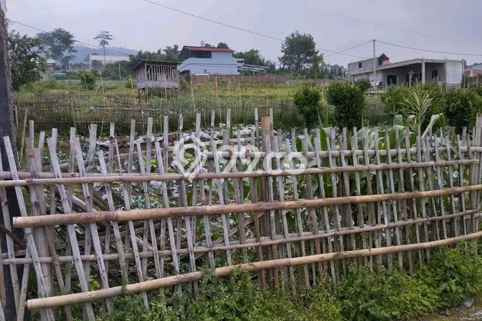 Kavling Tanah Dijual di Lembang, Bandung Barat, Luas 224m2 Area Strategis Kavling Tanah Dijual di Lembang, Bandung Barat, Luas 224m2 Area Strategis