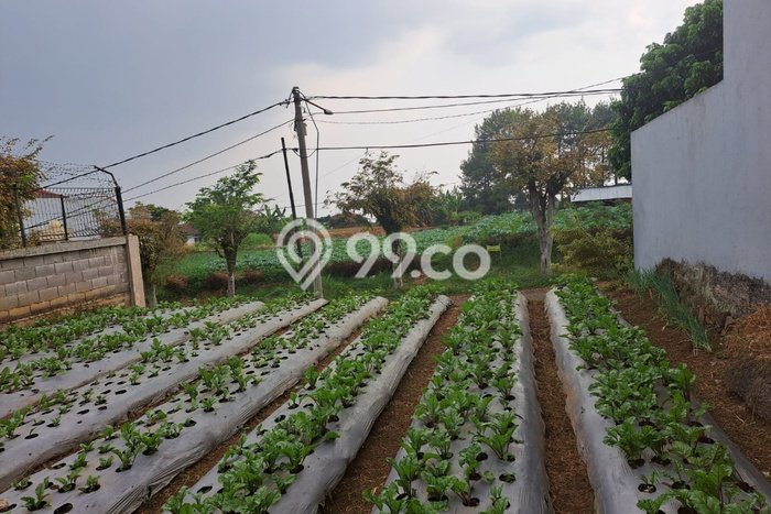 Tanah Dijual Lokasi Parongpong, Bandung Barat dengan Luas Tanah 220m2 dan Status SHM Tanah Dijual Lokasi Parongpong, Bandung Barat dengan Luas Tanah 220m2 dan Status SHM