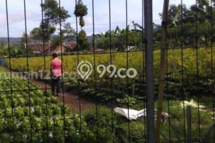 Kavling Tanah di Lembang Dijual Luas 557m2 Legalitas SHM Kavling Tanah di Lembang Dijual Luas 557m2 Legalitas SHM