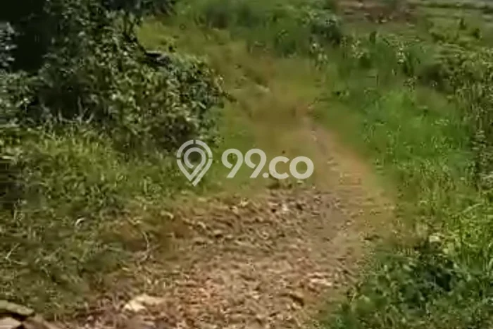 Dijual Tanah Lokasi Boyolali Kota, Boyolali Seluas 34317m2 Dijual Tanah Lokasi Boyolali Kota, Boyolali Seluas 34317m2