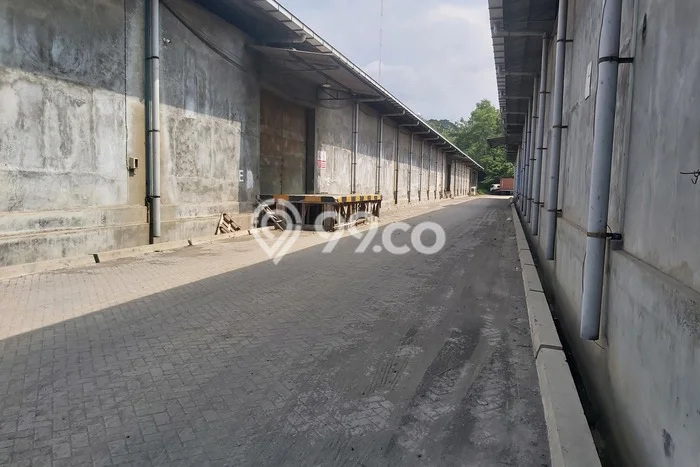 Disewakan Gudang di Pusat Kota Semarang Ramai Strategis Disewakan Gudang di Pusat Kota Semarang Ramai Strategis