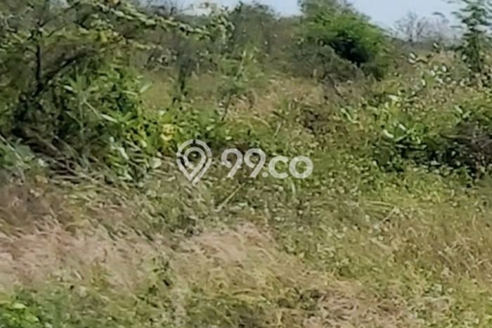 Lahan Dijual Lokasi Strategis di Semarang dengan Luas 15000m2 Lahan Dijual Lokasi Strategis di Semarang dengan Luas 15000m2