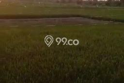 Lahan Dijual Lokasi Strategis di Kendal dengan Luas 185000m2 Lahan Dijual Lokasi Strategis di Kendal dengan Luas 185000m2