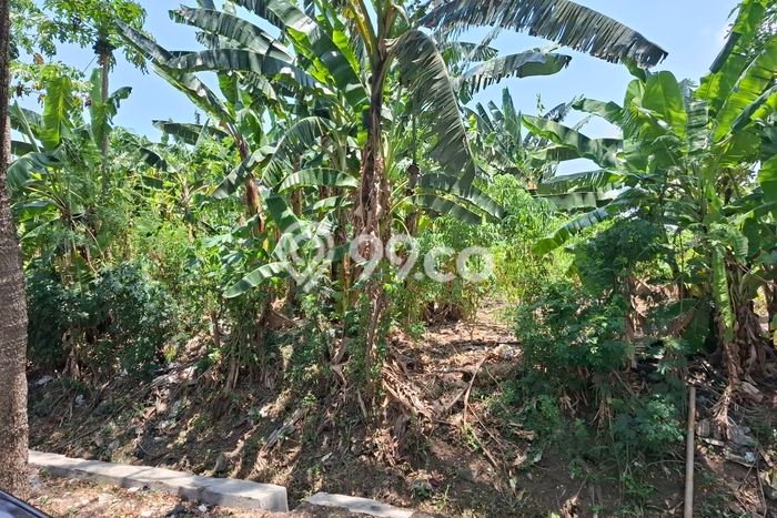 Tanah Dijual Lokasi Semarang Barat, Semarang Luas 38000m2 Legalitas Aman Tanah Dijual Lokasi Semarang Barat, Semarang Luas 38000m2 Legalitas Aman