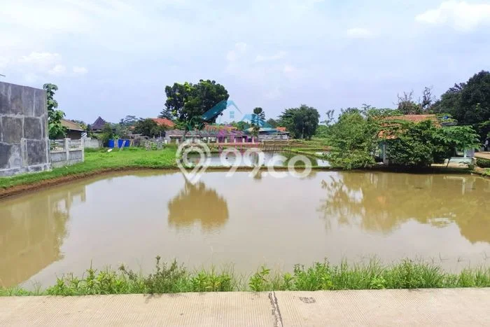 Tanah untuk Dijual Lokasi Ciseeng, Bogor Luas 4000m2 - Tanah untuk Dijual Lokasi Ciseeng, Bogor Luas 4000m2 -