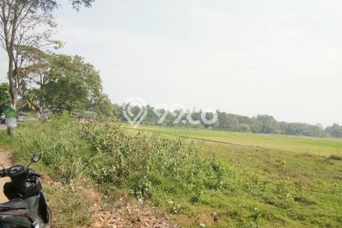 Kavling Tanah Dijual di Setu Bekasi Spesifikasi 361m2 Kavling Tanah Dijual di Setu Bekasi Spesifikasi 361m2