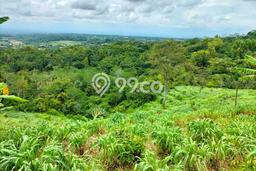 Tanah Dijual Lokasi Karanganyar, Karanganyar Luas 72000m2 Legalitas Aman Tanah Dijual Lokasi Karanganyar, Karanganyar Luas 72000m2 Legalitas Aman
