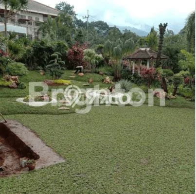 HARGA MENARIK! Tanah di Prigen, Luas 879m2m², Kawasan Potensial, Bebas Banjir HARGA MENARIK! Tanah di Prigen, Luas 879m2m², Kawasan Potensial, Bebas Banjir