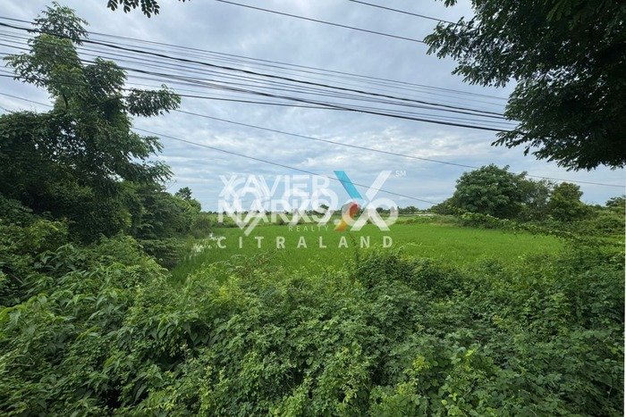 Tanah Dijual di Gresik Seluas 120000m2 Strategis Tanah Dijual di Gresik Seluas 120000m2 Strategis