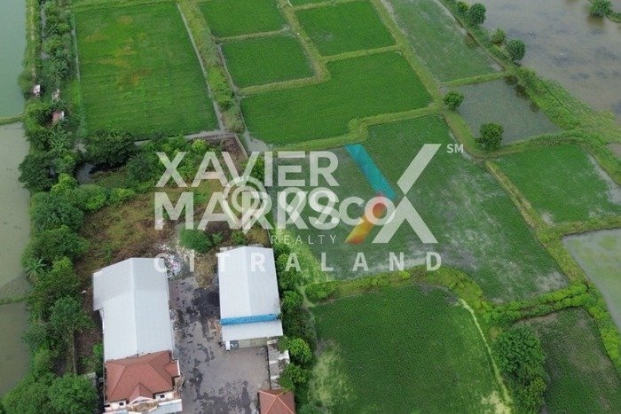 Tanah Dijual di Gresik Seluas 120000m2 Strategis Tanah Dijual di Gresik Seluas 120000m2 Strategis