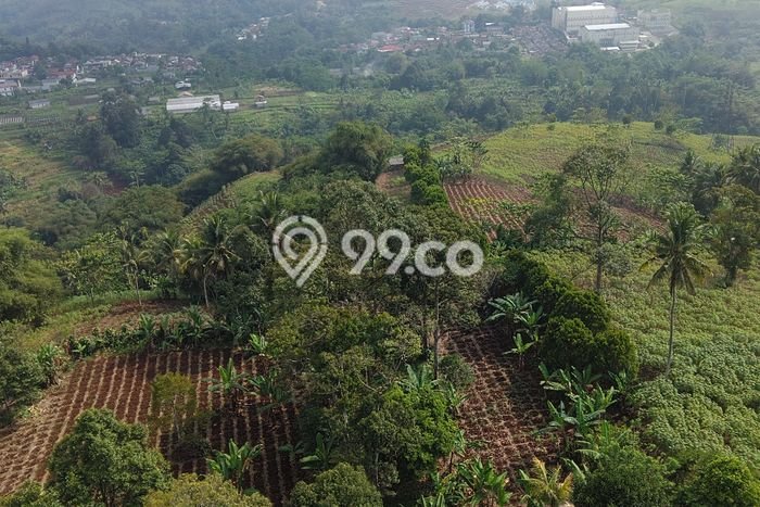 Kavling Tanah Dijual di Cibadak Sukabumi Spesifikasi 154000m2 Kavling Tanah Dijual di Cibadak Sukabumi Spesifikasi 154000m2
