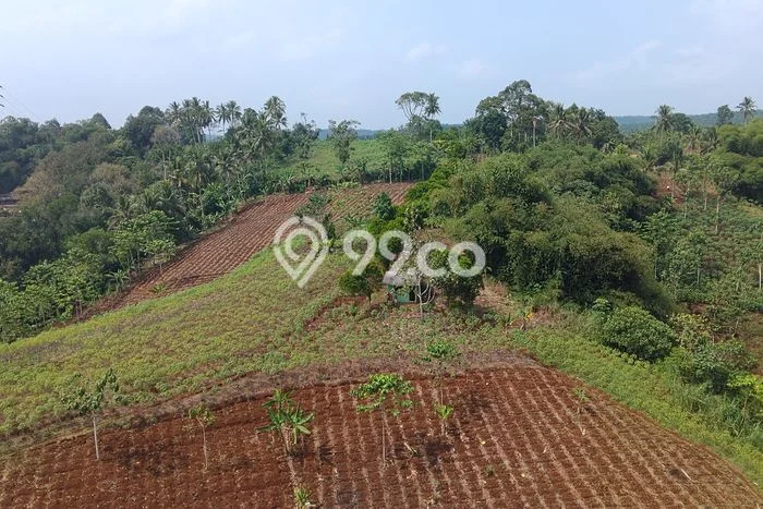 Kavling Tanah Dijual di Cibadak Sukabumi Spesifikasi 154000m2 Kavling Tanah Dijual di Cibadak Sukabumi Spesifikasi 154000m2