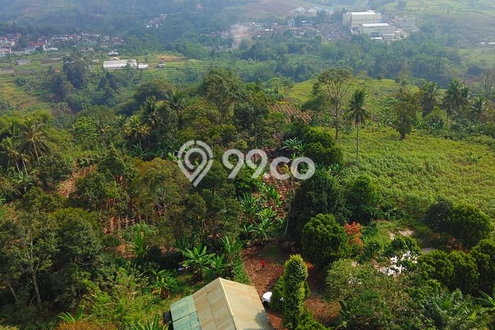 Kavling Tanah Dijual di Cibadak Sukabumi Spesifikasi 154000m2 Kavling Tanah Dijual di Cibadak Sukabumi Spesifikasi 154000m2