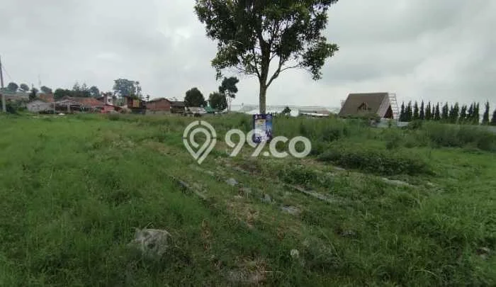 Kavling Tanah di Cisarua Dijual Luas 1565m2 Legalitas SHM Kavling Tanah di Cisarua Dijual Luas 1565m2 Legalitas SHM