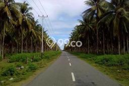 Lahan Strategis di Bunta Dijual dengan Luas 6.78e+06m2 Lahan Strategis di Bunta Dijual dengan Luas 6.78e+06m2