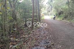 Jarang Ada! Tanah di Girimulyo Punya Luas 987m2 SHM Jarang Ada! Tanah di Girimulyo Punya Luas 987m2 SHM