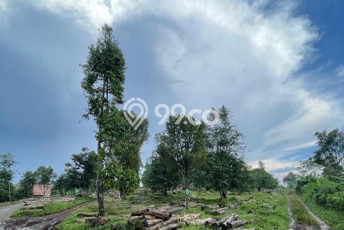 Kavling Tanah Dijual di Cikalong Wetan, Bandung Barat, Luas 118200m2 Area Strategis Kavling Tanah Dijual di Cikalong Wetan, Bandung Barat, Luas 118200m2 Area Strategis