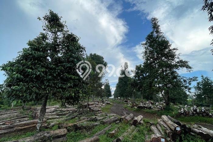 Kavling Tanah Dijual di Cikalong Wetan, Bandung Barat, Luas 118200m2 Area Strategis Kavling Tanah Dijual di Cikalong Wetan, Bandung Barat, Luas 118200m2 Area Strategis
