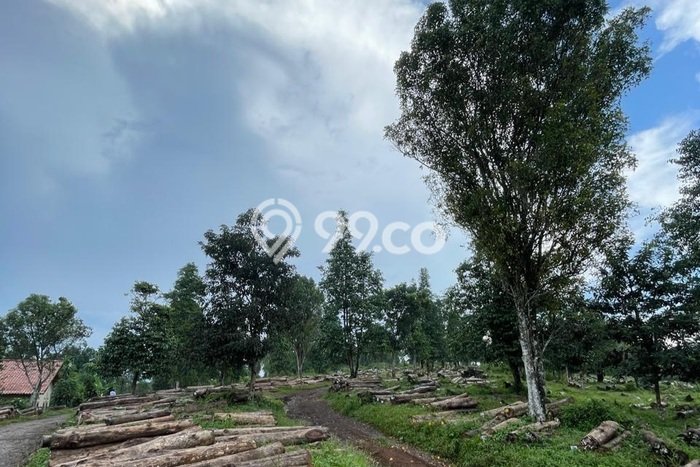 Kavling Tanah Dijual di Cikalong Wetan, Bandung Barat, Luas 118200m2 Area Strategis Kavling Tanah Dijual di Cikalong Wetan, Bandung Barat, Luas 118200m2 Area Strategis
