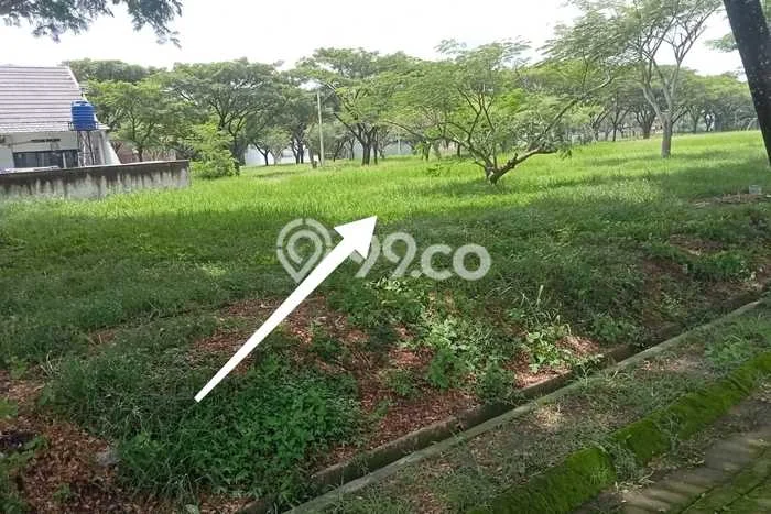 Tanah Dijual Lokasi Serang, Serang Luas 180m2 Legalitas Aman Tanah Dijual Lokasi Serang, Serang Luas 180m2 Legalitas Aman