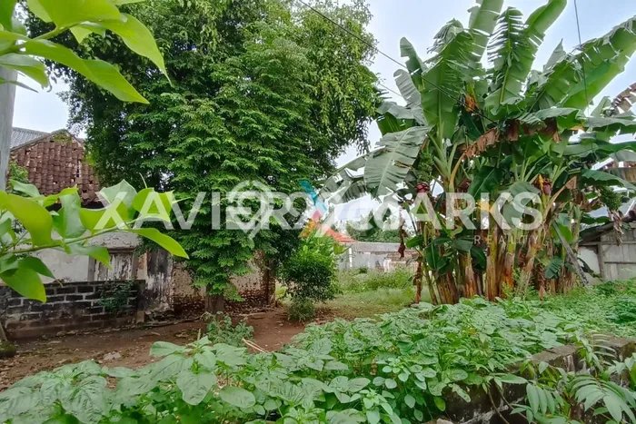 Dijual Rumah Premium dengan Fasilitas Sekitar Lengkap di Semanding, Tuban Dijual Rumah Premium dengan Fasilitas Sekitar Lengkap di Semanding, Tuban