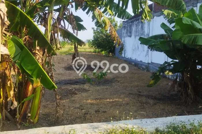 Tanah Dijual Lokasi Balongpanggang, Gresik Luas 347m2 Legalitas Aman Tanah Dijual Lokasi Balongpanggang, Gresik Luas 347m2 Legalitas Aman
