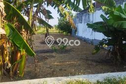 Tanah Dijual Lokasi Balongpanggang, Gresik Luas 347m2 Legalitas Aman Tanah Dijual Lokasi Balongpanggang, Gresik Luas 347m2 Legalitas Aman