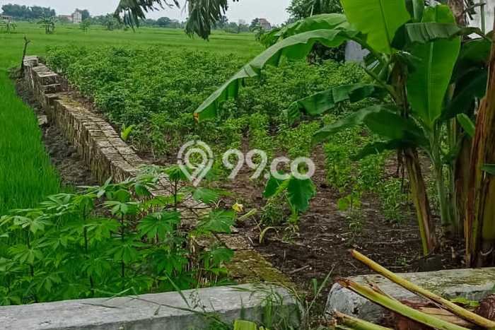 Tanah Dijual Lokasi Balongpanggang, Gresik Luas 347m2 Legalitas Aman Tanah Dijual Lokasi Balongpanggang, Gresik Luas 347m2 Legalitas Aman