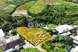 Tanah Investasi Dijual di Badung Punya Luas 1054m2 Tanah Investasi Dijual di Badung Punya Luas 1054m2