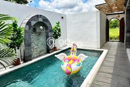 Siap Huni Rumah Mewah 2 Kamar di Ubud Dekat ke Mana Saja Siap Huni Rumah Mewah 2 Kamar di Ubud Dekat ke Mana Saja