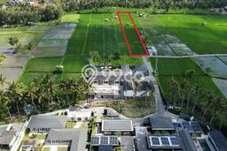 Lahan untuk Dijual di Ubud Gianyar Luas 2520m2 Lahan untuk Dijual di Ubud Gianyar Luas 2520m2
