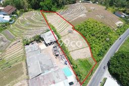 Tanah di Munggu, Luas 3000m², Area Komersial Tanah di Munggu, Luas 3000m², Area Komersial