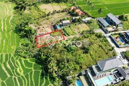 Dijual Tanah Lokasi Mas, Gianyar Seluas 591m2 Dijual Tanah Lokasi Mas, Gianyar Seluas 591m2